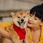 Solving Common Dog Behavior Problems with Positive Reinforcement