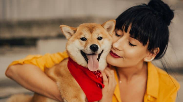 Solving Common Dog Behavior Problems with Positive Reinforcement