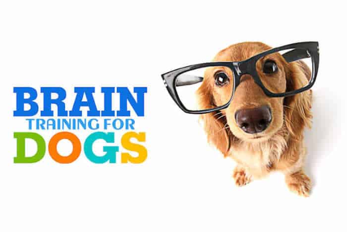Brain Training for Dogs Review