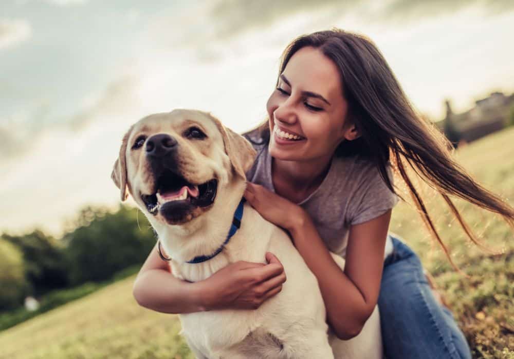 Brain Training for Dogs Review