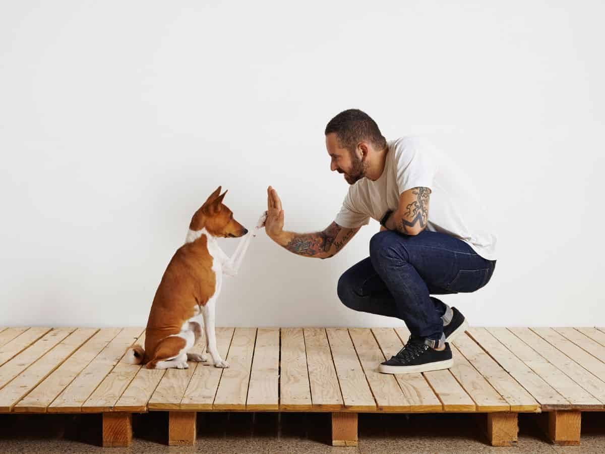 Positive Reinforcement Is The Best Dog Training Method