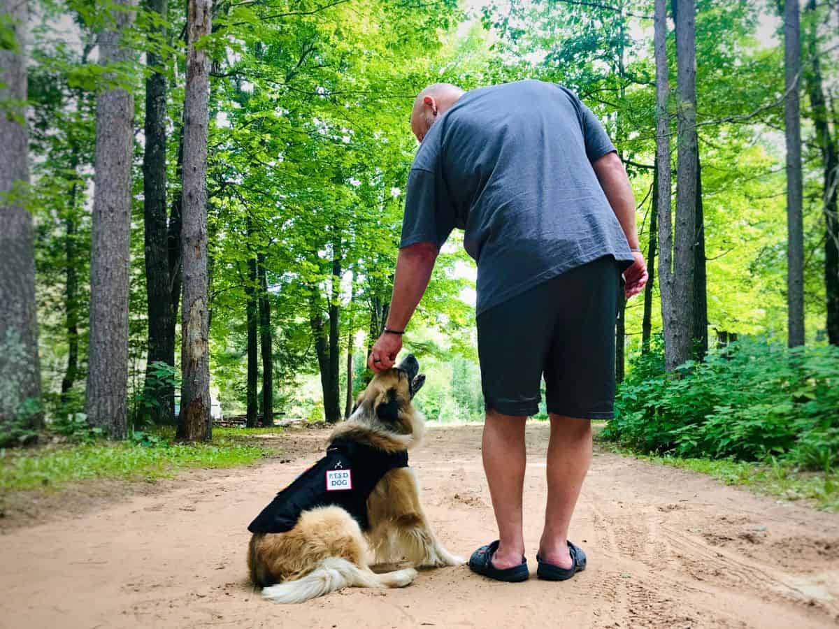 Positive Reinforcement Is The Best Dog Training Method