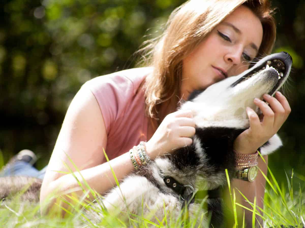 Positive Reinforcement Is The Best Dog Training Method