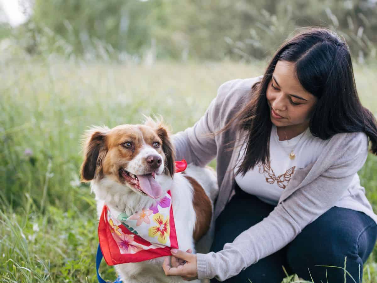 Positive Reinforcement Is The Best Dog Training Method