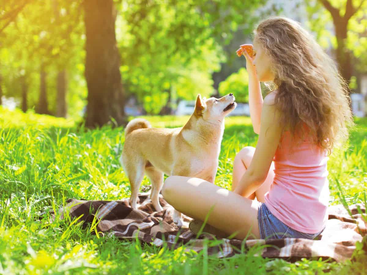 Positive Reinforcement Is The Best Dog Training Method