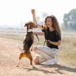 Positive Reinforcement Is The Best Dog Training Method